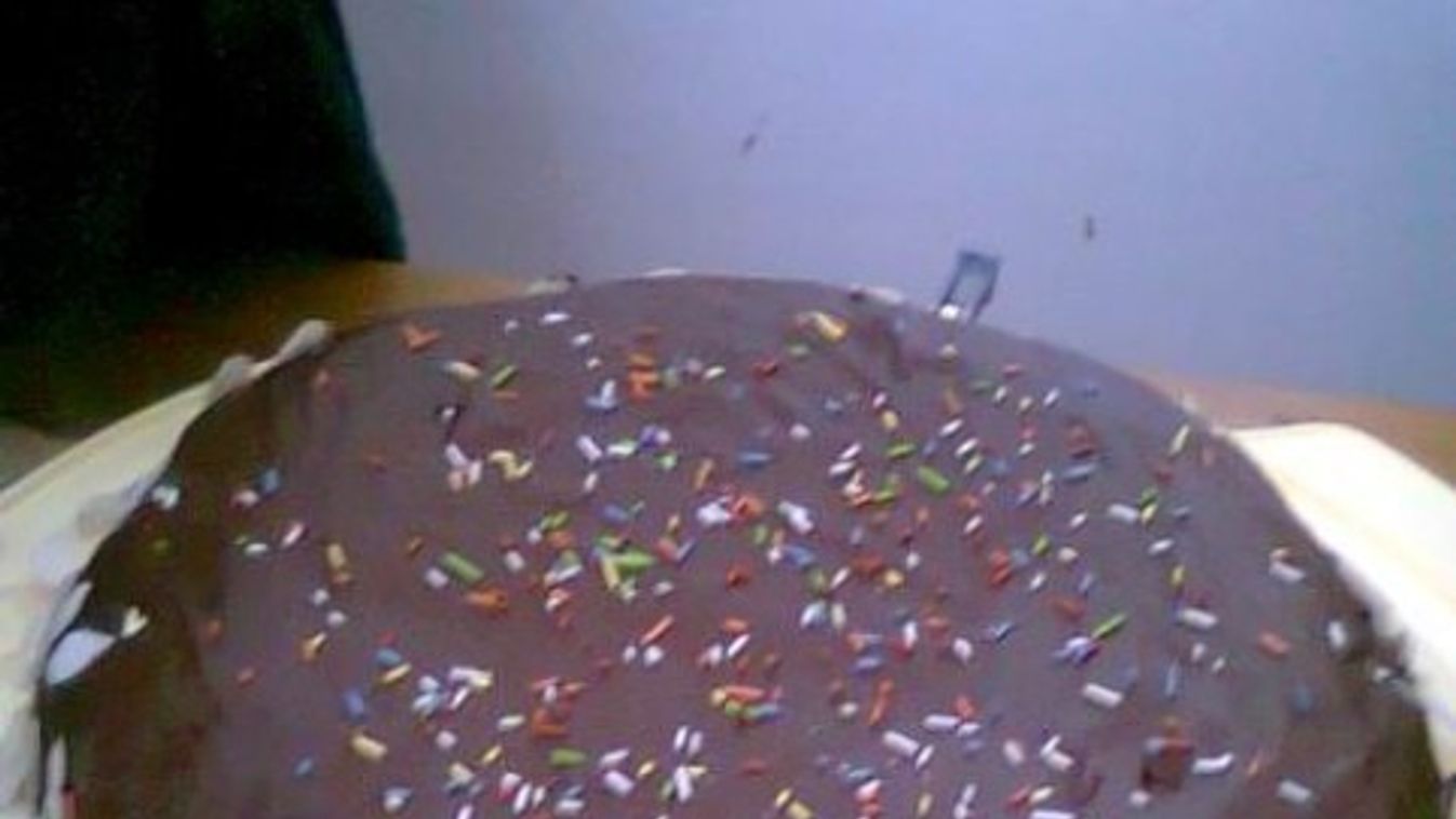 Sacher-torta II.