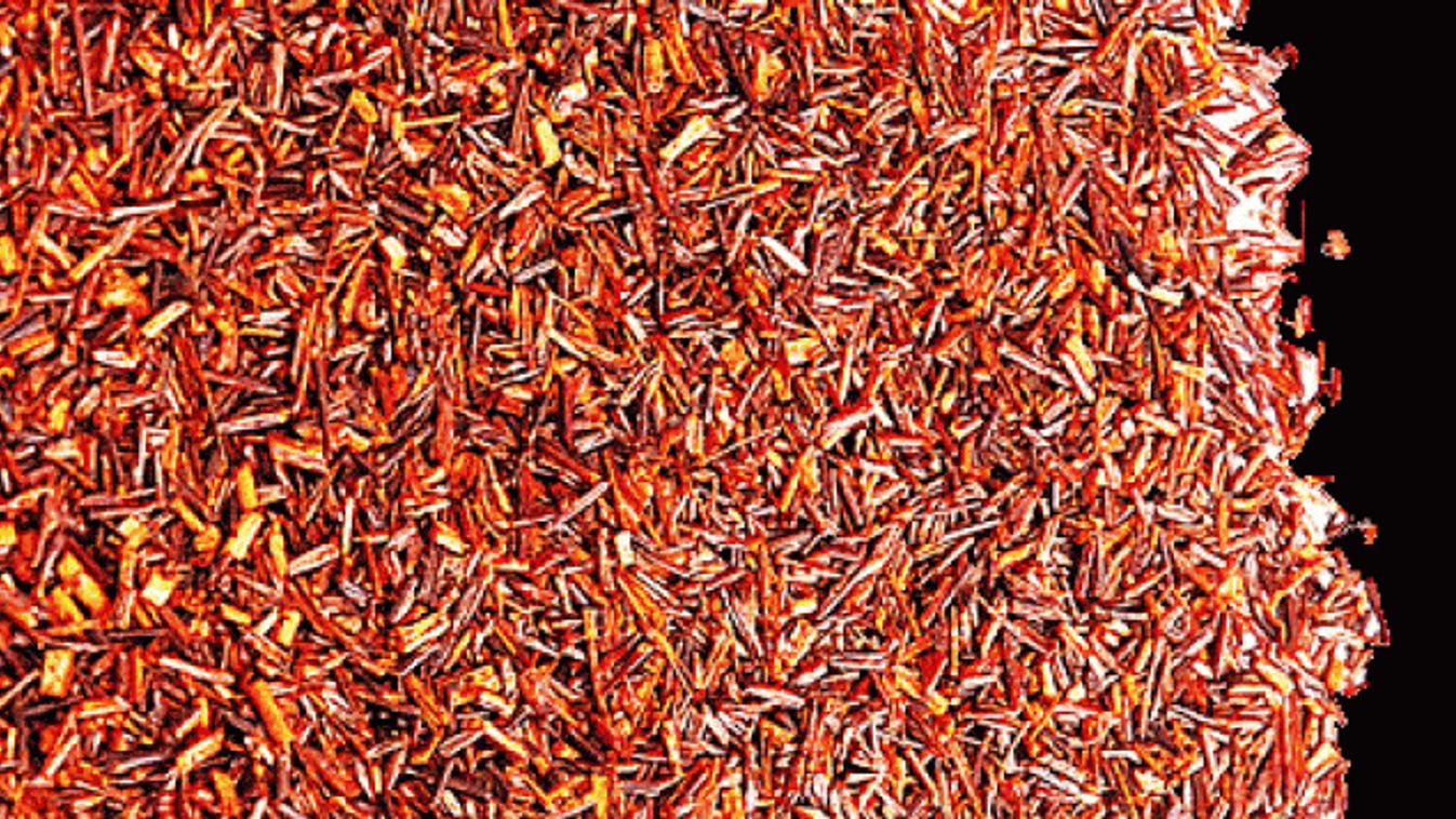 Rooibos, Dél-Afrika kincse