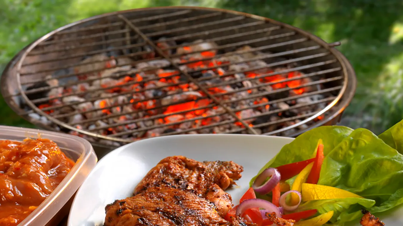 Tex-mex pulykamell grillen recept