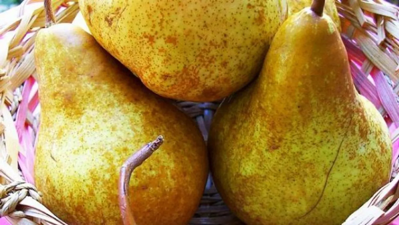 Őszi aromákra hangolva – vörösborkrémes körtepite