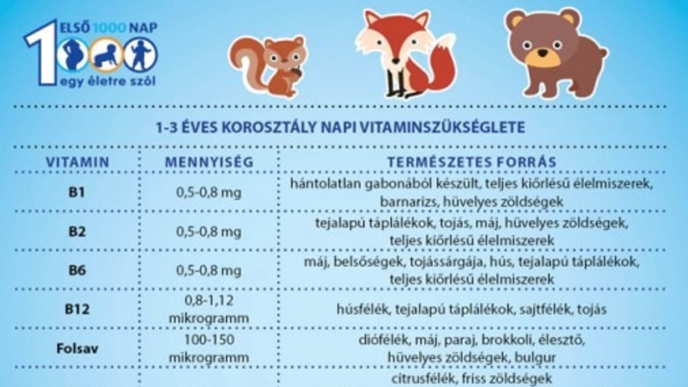 Előzd meg a felnőttkori elhízást - adj kevés cukorot és sót a gyermekednek!