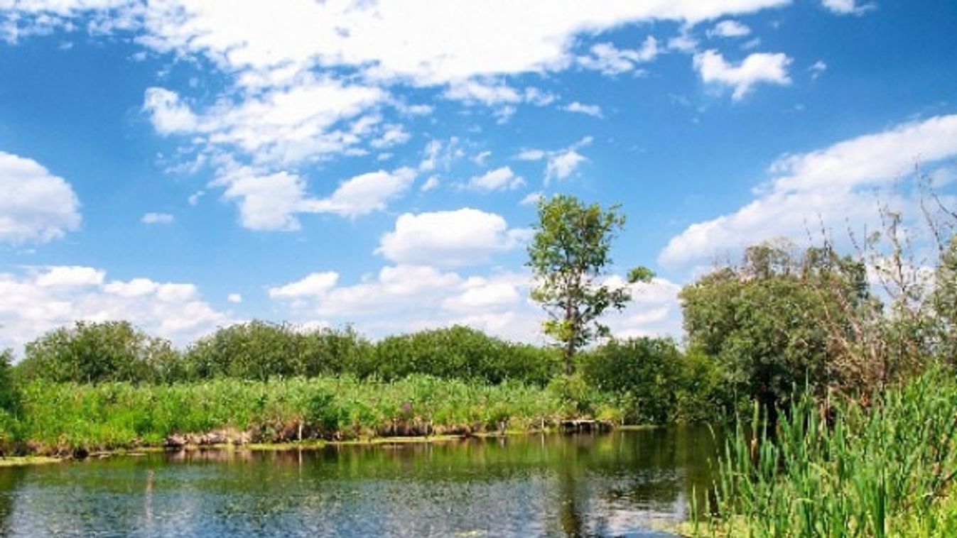 Halak, vadak és wellness - irány a Szigetköz!