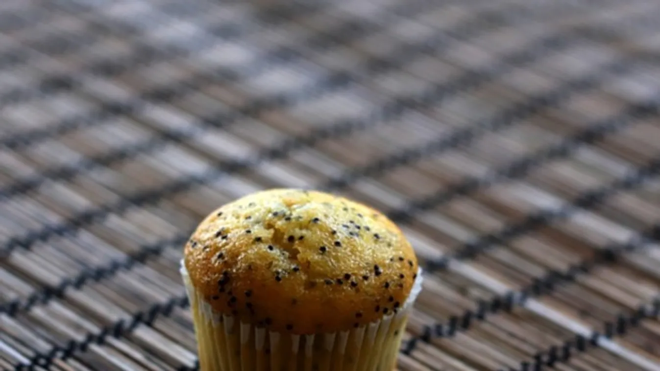 Egyszerű mákos muffin recept