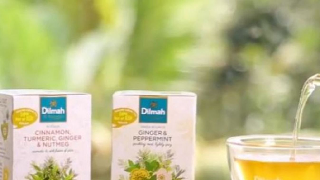 Új Dilmah  herba és gyümölcs főzetek