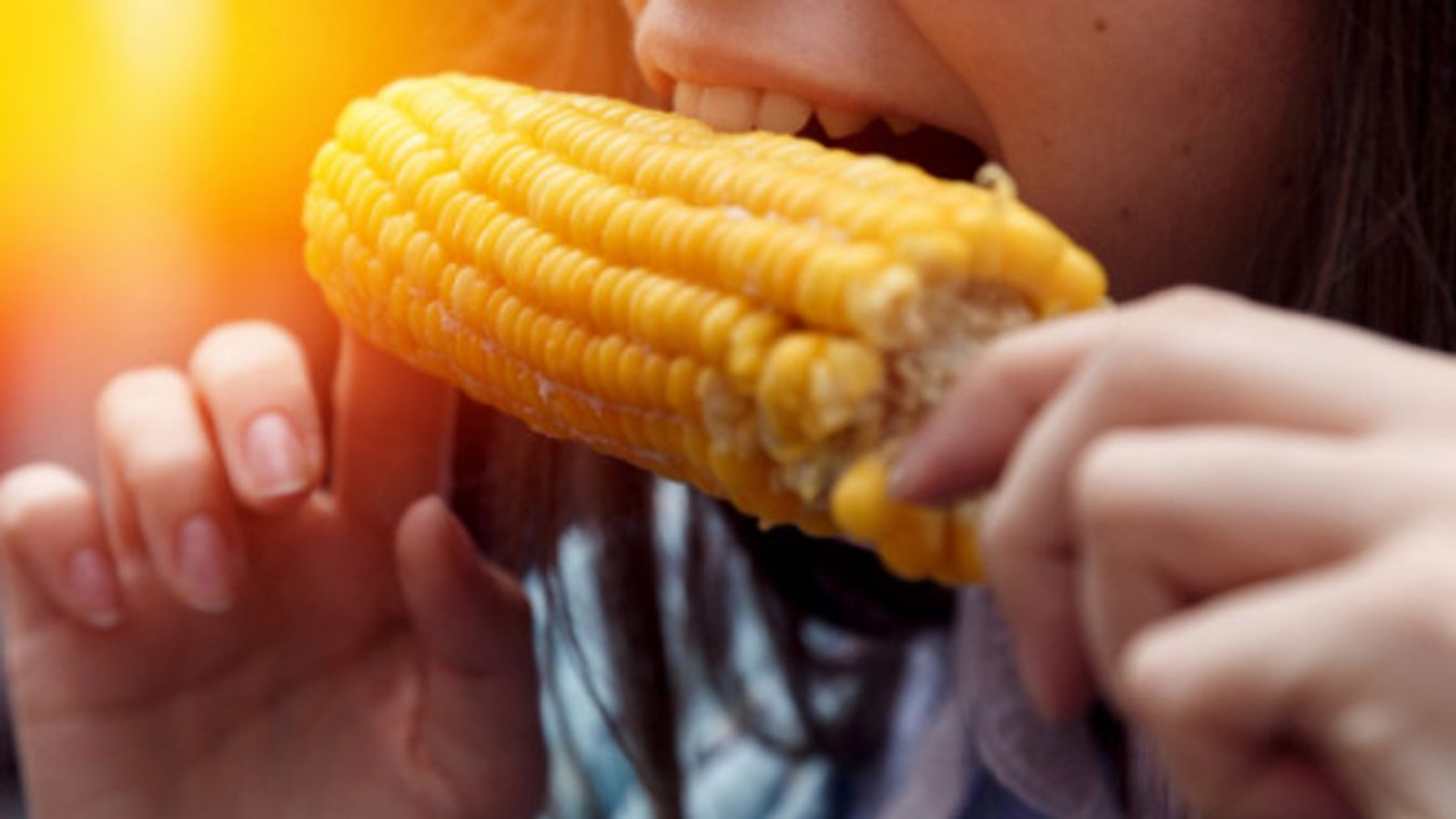 15+1 dolog, amit meg kell tennünk, mielőtt véget ér a nyár