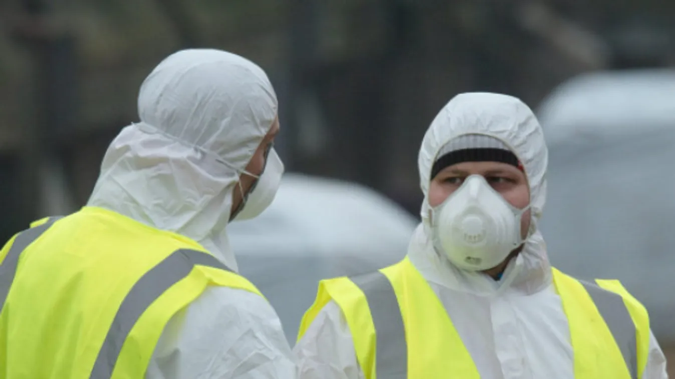 Újabb megyében ütötte fel a fejét a madárinfluenza