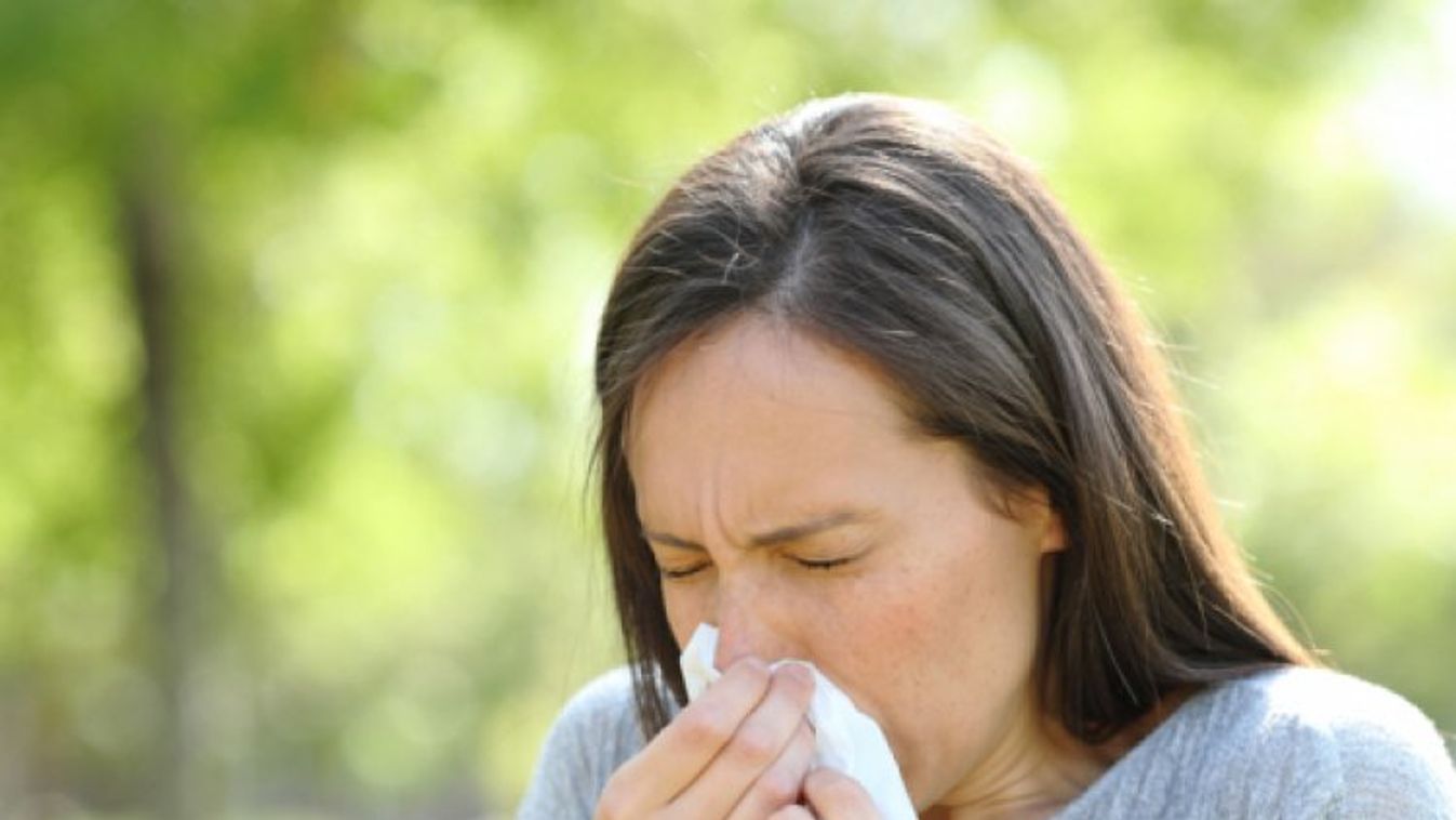 Rossz hír az allergiásoknak: a kánikula felerősíti a tüneteket