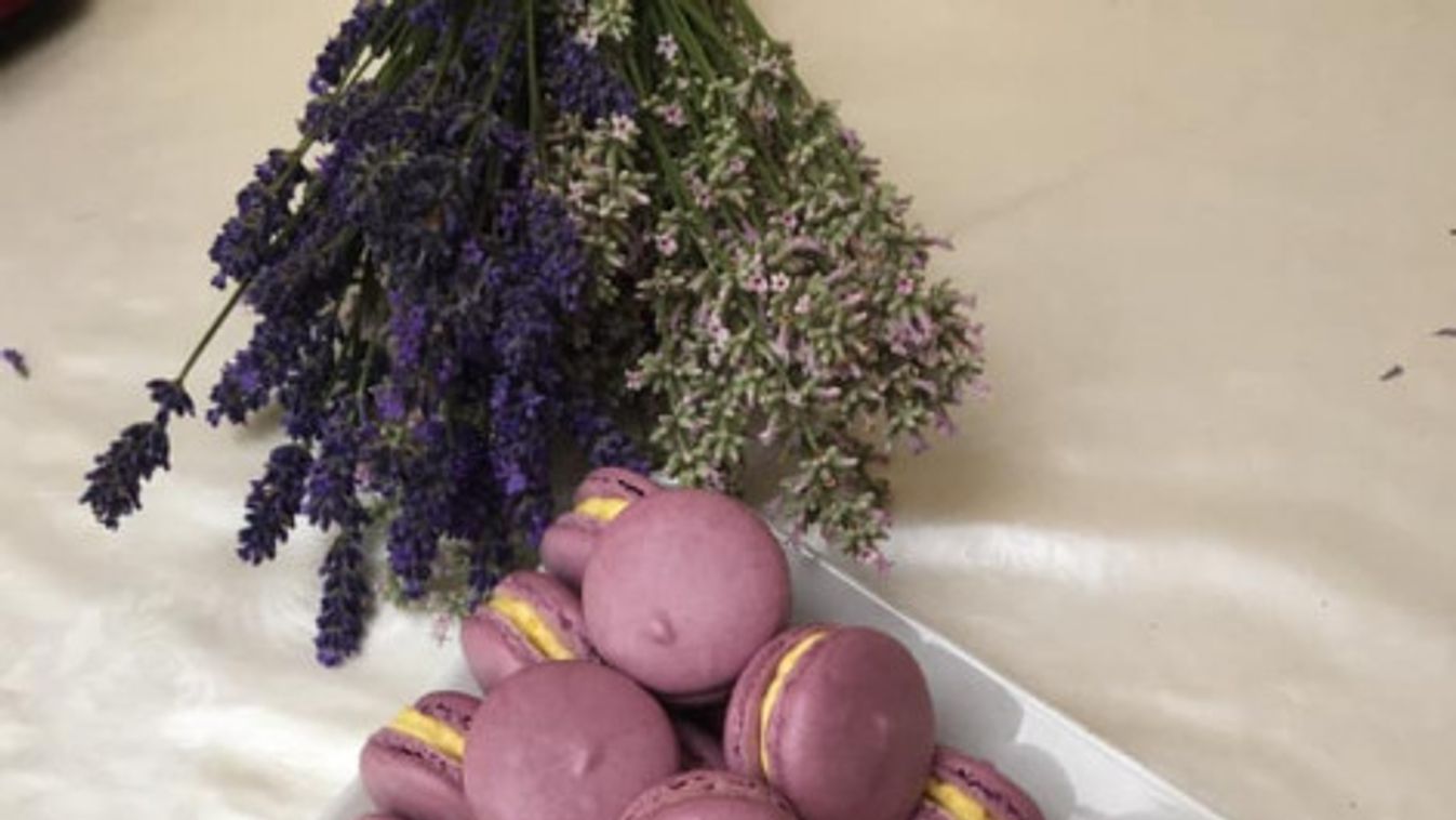 Fehércsokoládés macaron