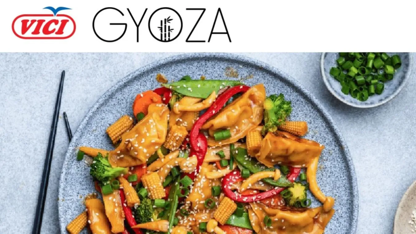 GYOZA gombóc ázsiai stílusú zöldségekkel