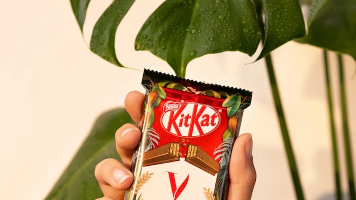 Végre! Mostantól állandóan elérhető lesz a vegán KitKat