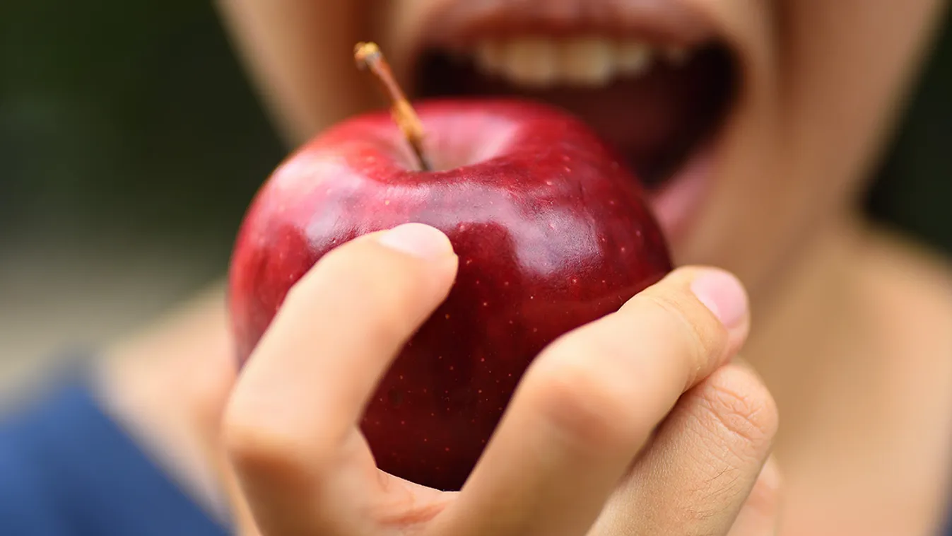 10 megfizethető és egészséges étel, amiből jó, ha télen sokat eszel!