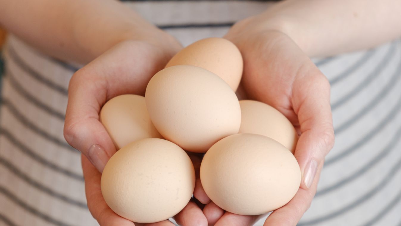 Így tudsz spórolni a tojással – trükkök és tippek hétköznapokra