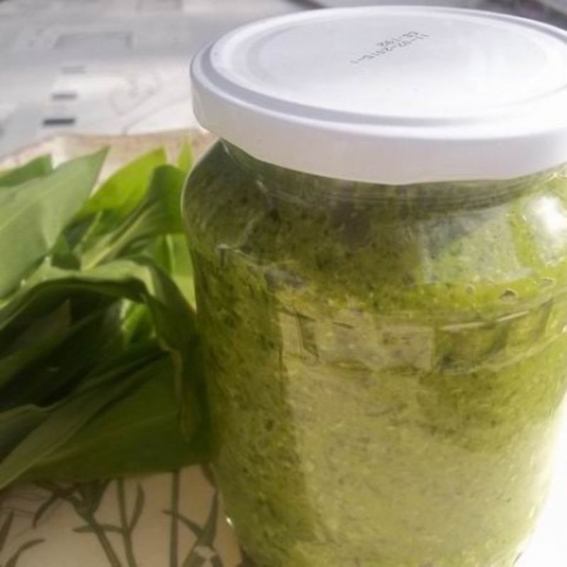 Medvehagymapesto