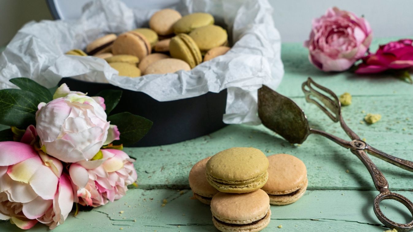 Macaron csokis és lime-os krémmel