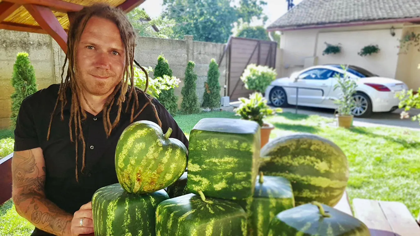 Szív alakú dinnyét alkotott szerelmének a vásárhelyi gazda