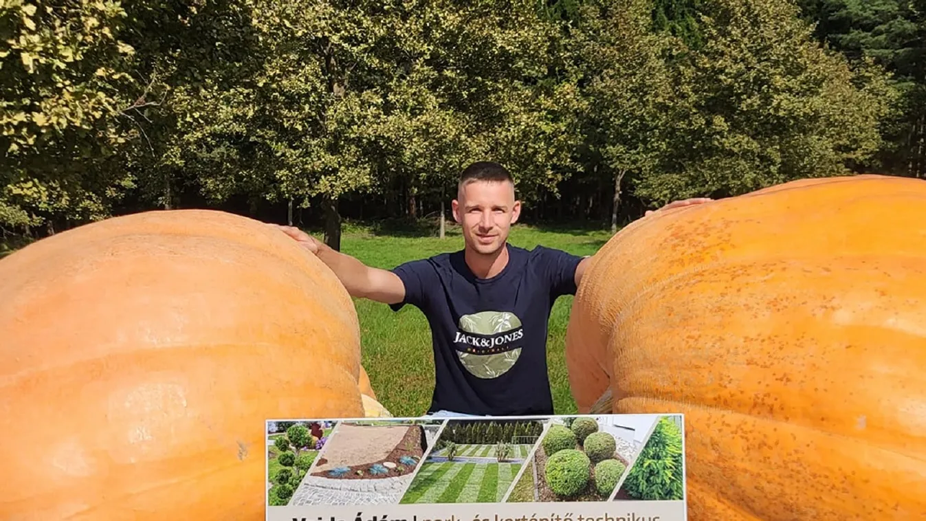 Gigantikus óriástökök nőttek egy magyar gazda kertjében: fotón a féltonnás zöldség