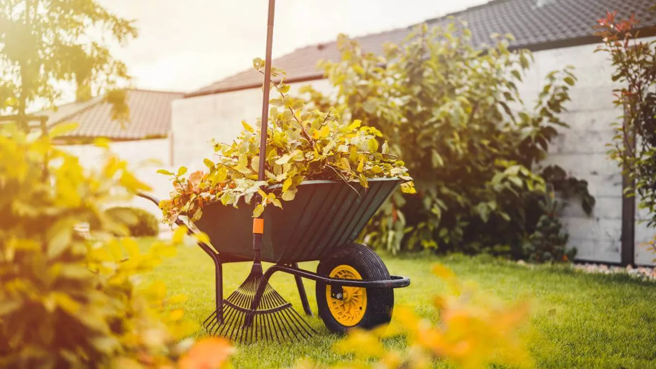 Így gondozzuk a gyepet ősszel, hogy jövő nyáron is szép legyen