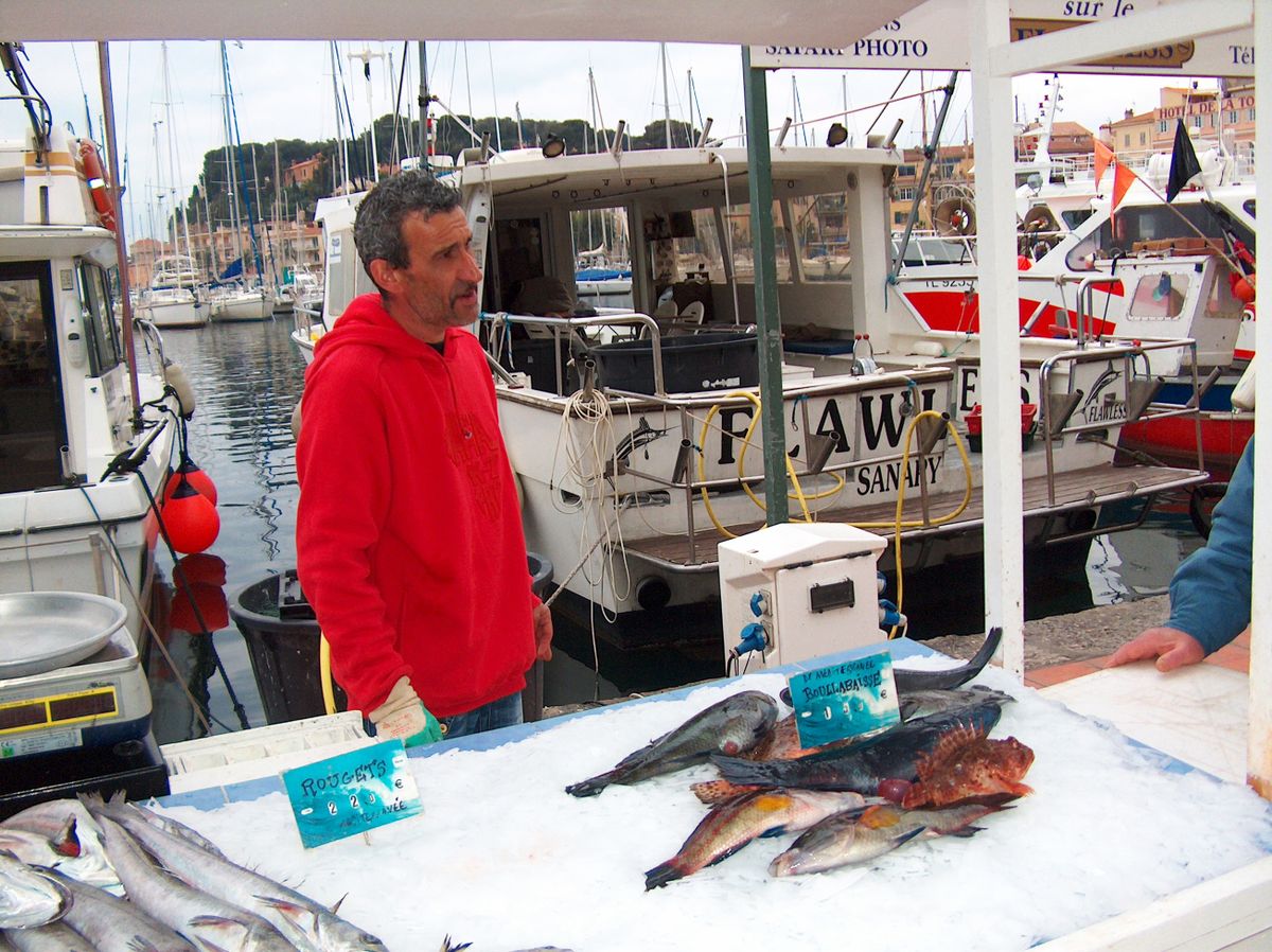 A francia Riviérán, Sanary­sur­Mer város kikötőjében a halászok előre összekészítik bouillabaisse­hez való halakat/ Fotó: T. Zs.