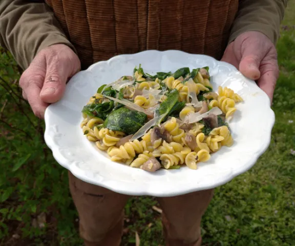 Kakukkfüves gombás tészta bébispenóttal recept