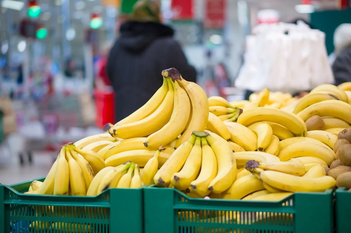 Egy potyautas pók is érkezett a banánszállítmánnyal (Illusztráció) /Fotó: Shutterstock