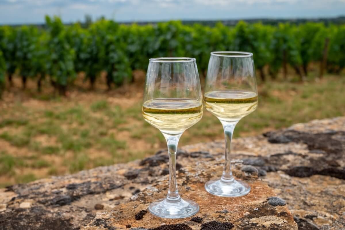 Diana kedvenc bora egy Puligny-Montrachet-i chardonnay volt  / Fotó: Shutterstock