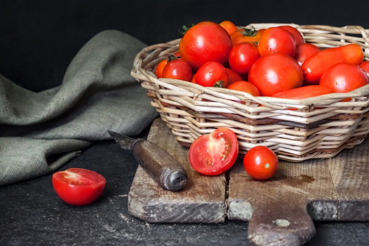 A paradicsom a pulton érzi jól magát / Fotó: Shutterstock