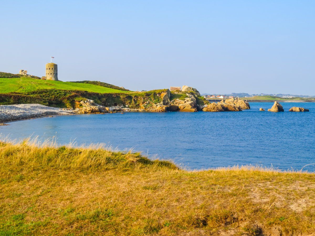 Az ormer csak a Csatorna-szigetek strandjain található / Fotó: Shutterstock