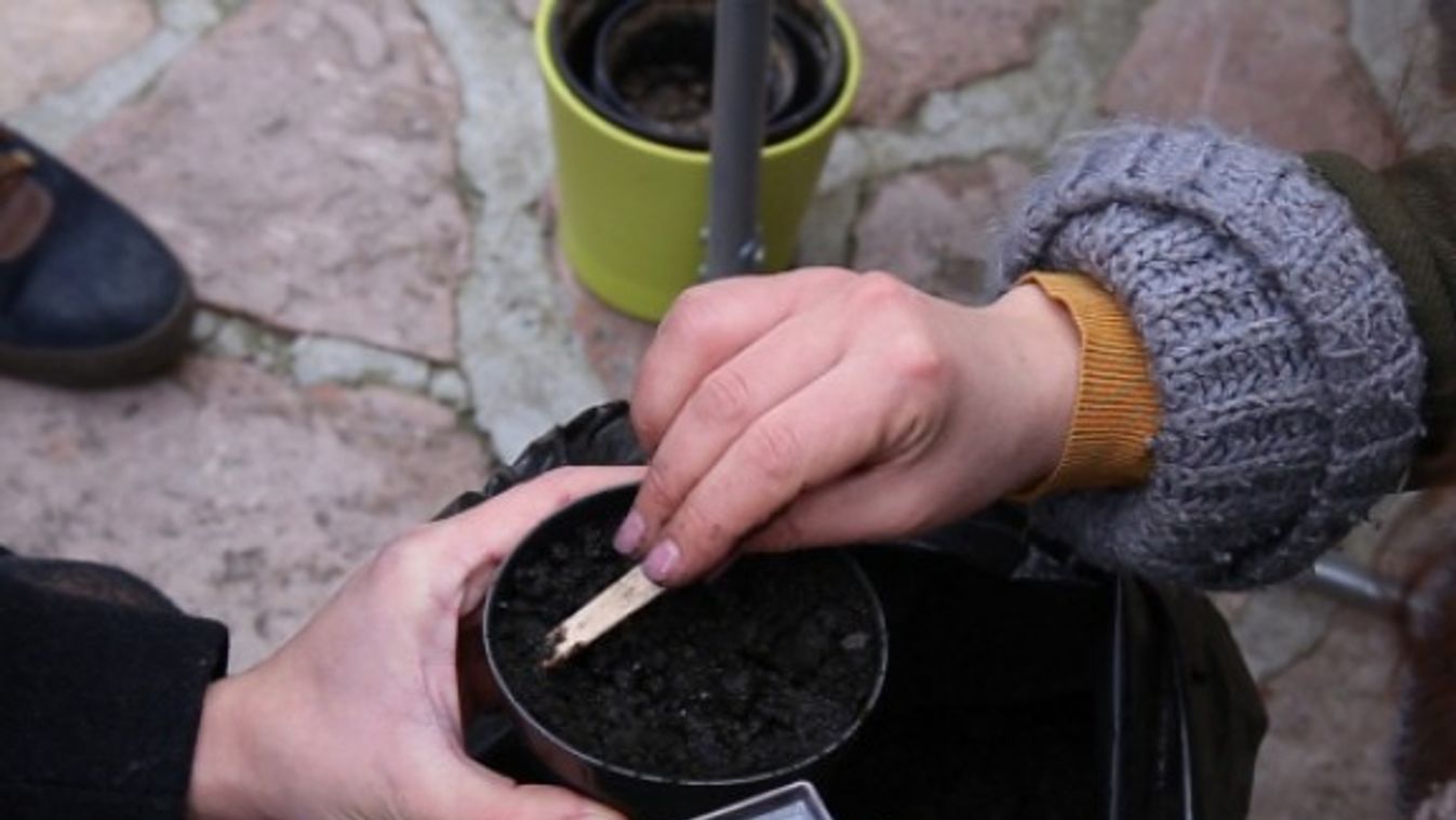 planttogether bajzák anna közösségi kert otthoni kertészkedés konyhakert tanácsok tippek