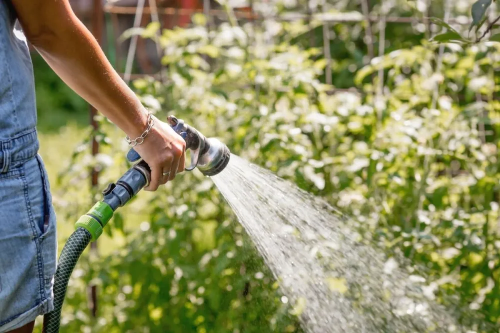 Gondoljuk át, milyen módon locsoljuk a növényeinket! / Fotó: Shutterstock