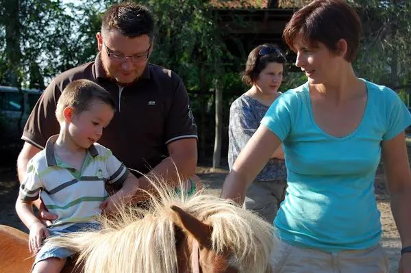 A lovastanyá​n: Sebő a szelíd lovas