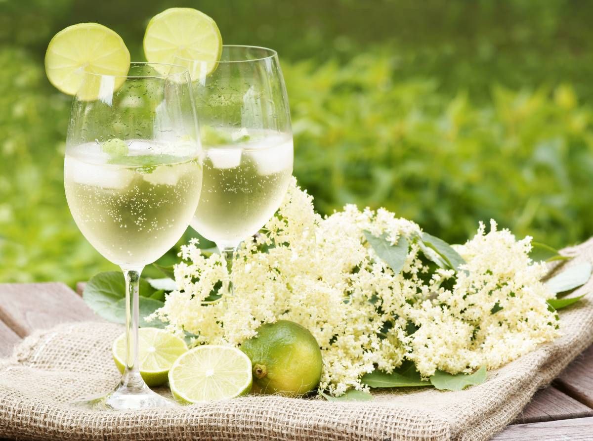 Bodza, menta, lime, prosecco isteni keveréke – a nyár új slágeritala a Hugo koktél /Fotó: Shutterstock