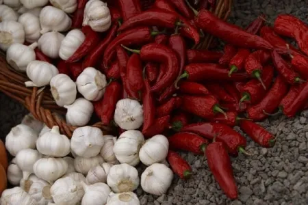 Fokhagyma és chili