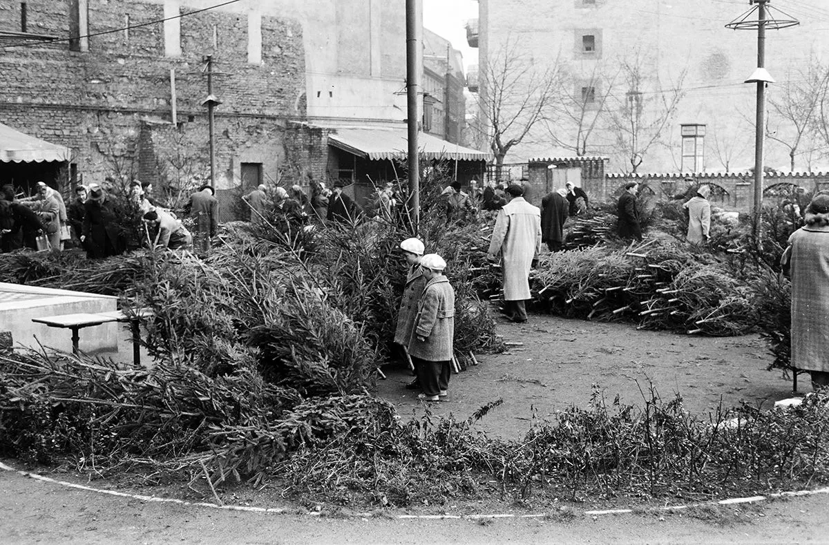 Karácsonyfa vásár 1957-ben a Kálvin tér és a Kecskeméti utca sarkán Budapesten /Fotó: Fortepan - Hámori Gyula