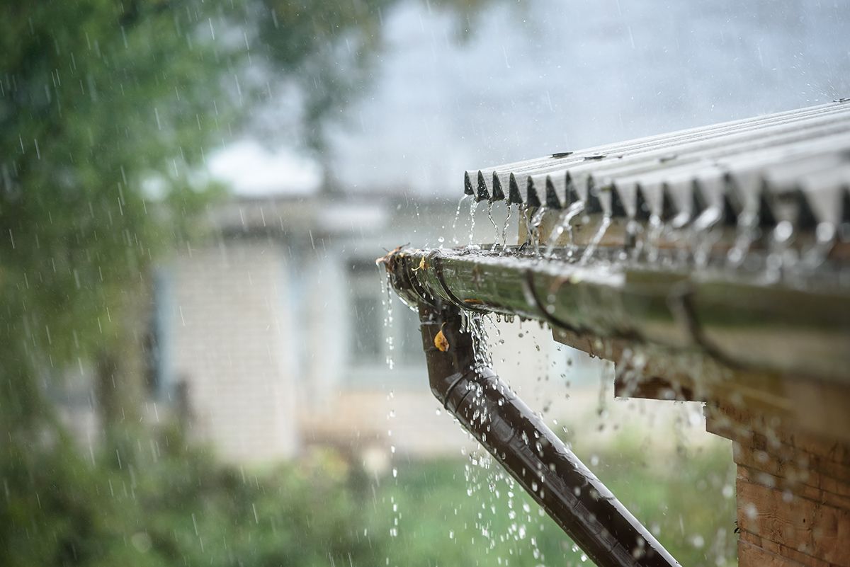 Spórolj a locsoláson! Így gyűjts esővizet /Fotó: Shutterstock