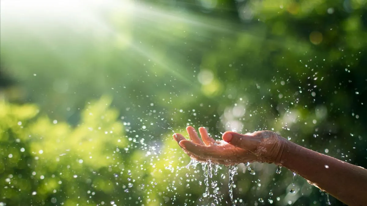 Megfelelő eszközökkel hatékonyabb a locsolás /Fotó: Shutterstock