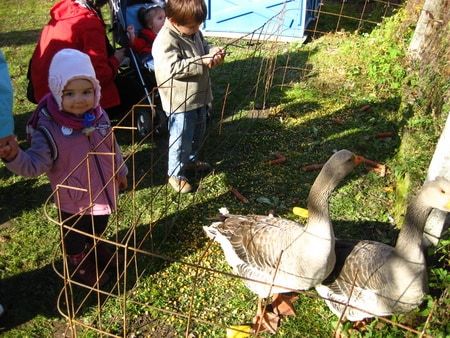 Dorka a libaetetőnél