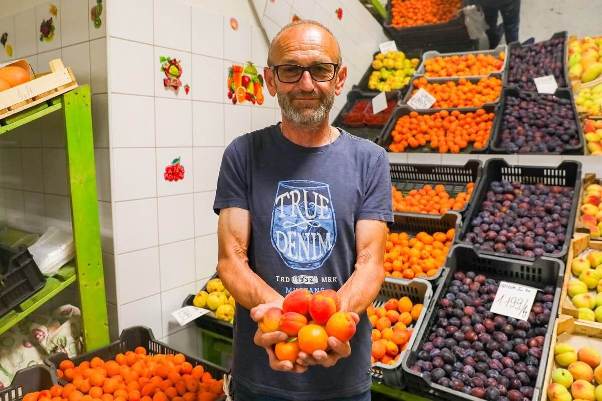 Fáradságos munka a zöldségesek élete, de Vendel örömmel teszi a dolgát /Fotó: Rákóczy Ádám/Kisalföld