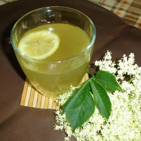 Bodzaszörp házilag recept