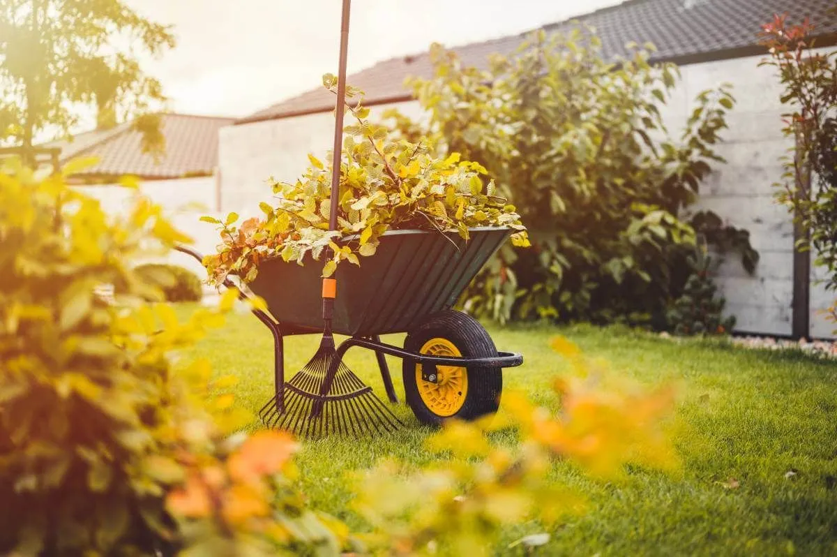 Ahhoz, hogy átvészelje a telet és jövő nyáron is szép legyen az udvarunk, ősszel el kell végeznünk néhány gyepgondozási feladatot (Fotó: Shutterstock)