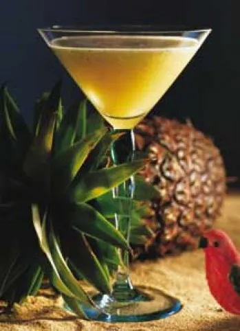 Egzotikum recept