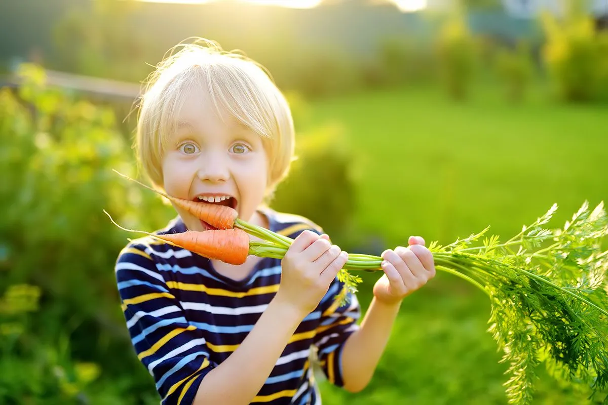 Számtalan jótékony hatással bír a sárgarépa. Na, de mi a helyzet a fütyüléssel?  /Fotó: Shutterstock 