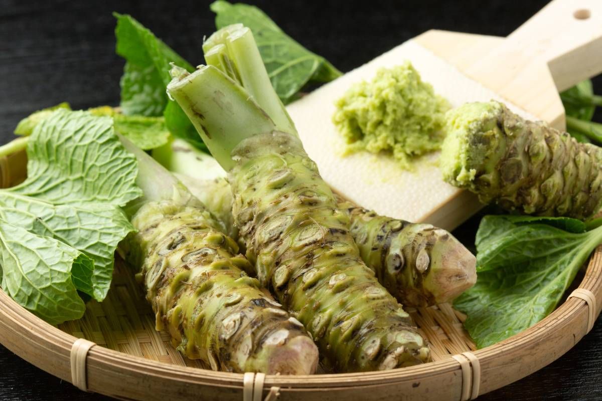 Nagyon csípős, nagyon finom: ez a wasabi / Fotó: Shutterstock