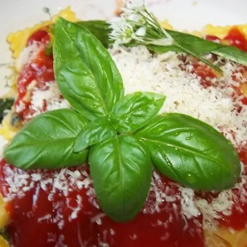 Húsos ravioli medvehagymás-bazsalikomos paradicsomszósszal recept