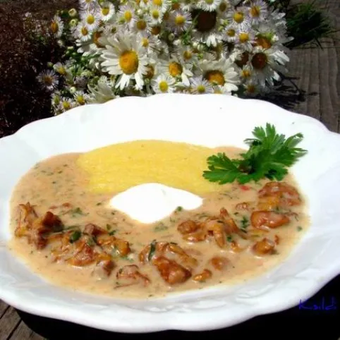 Rókagomba-paprikás puliszkával recept