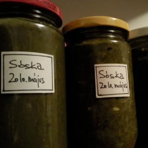 Sóska télire recept