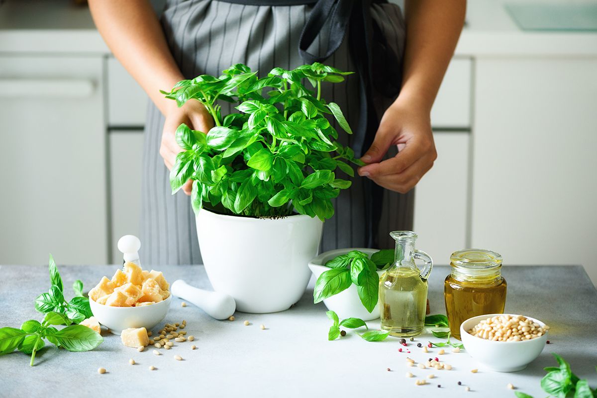 A zöldfűszerek nem hiányozhatnak a konyhából (Fotó: Shutterstock)