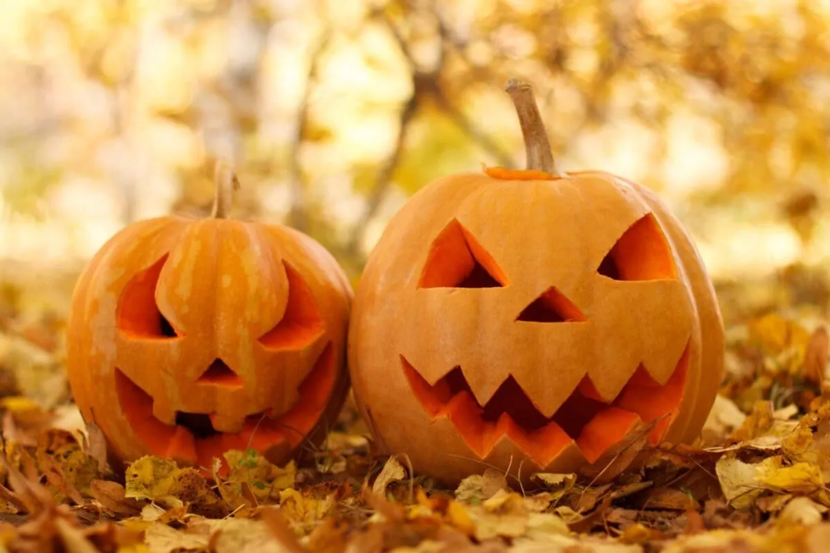 A halloween a kelták egyik szent ünnepéből ered. / Fotó: Shutterstock