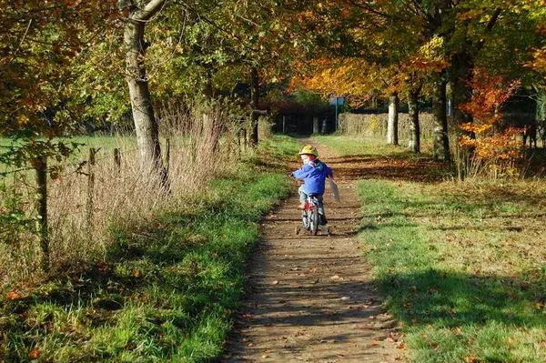 Szép időben biciklivel megyünk az óvodába