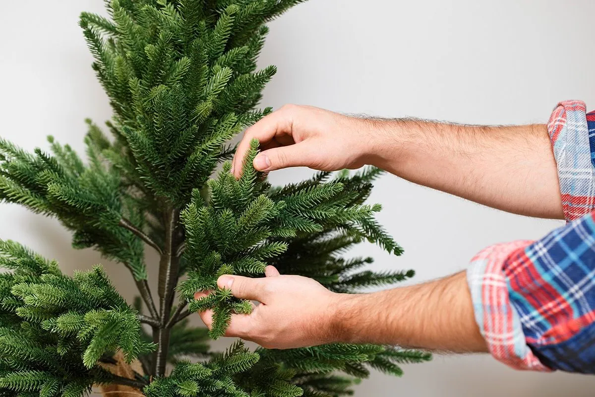 Így válasszatok műfenyőt karácsonyra, hogy minél tovább bírja /Fotó: Shutterstock