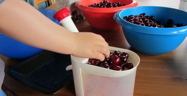 Dorka Mária, a segítőm 6 kg meggyet magozott ki velem...